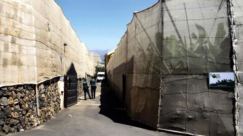 La Guardia Civil investiga la muerte violenta de un matrimonio y el padre de la mujer en Guaza