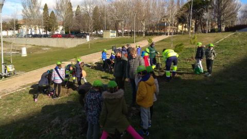 Plantaci&oacute;n de &aacute;rboles po escolares en Segovia