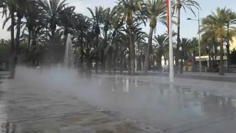 Paseo de la Estación de Elche Paseo de la Estación de Elche