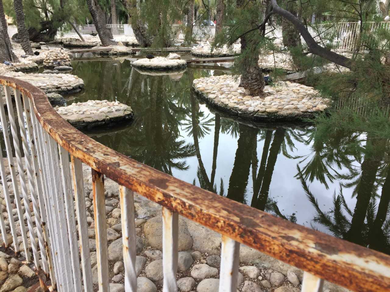 La Federación de Asociaciones de Vecinos de Elche urge también actuar en el mantenimiento del Parque Municipal La Federación de Asociaciones de Vecinos de Elche urge también actuar en el mantenimiento del Parque Municipal