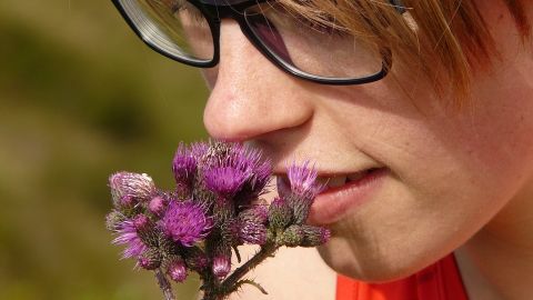 Habr&aacute; olores que captes mejor con la nariz algo taponada 