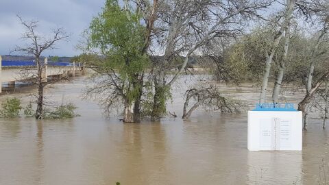 El Ebro a su paso por Novillas