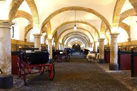 Córdoba Ecuestre seguirá gestionando- de momento- Caballerizas Reales Córdoba Ecuestre seguirá gestionando- de momento- Caballerizas Reales