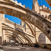 Terrazas Catedral de Mallorca 