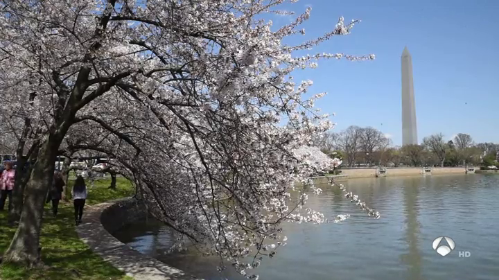 Mujeres Con Historia: Eliza Scidmore, la mujer que fue clave para el éxito de la revista National Geographic Mujeres Con Historia: Eliza Scidmore, la mujer que fue clave para el éxito de la revista National Geographic