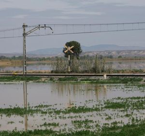 Crecida del Ebro en la Ribera Baja Crecida del Ebro en la Ribera Baja