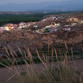 Fonelas se lavanta Fonelas se lavanta