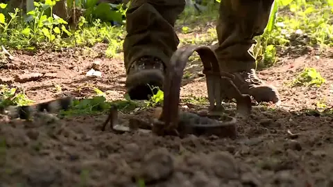 Los detectives de la naturaleza Los detectives de la naturaleza