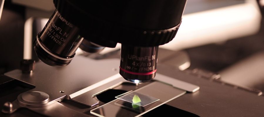 Científicos crean dispositivos cien veces más pequeños que una célula para detectar metástasis Científicos crean dispositivos cien veces más pequeños que una célula para detectar metástasis