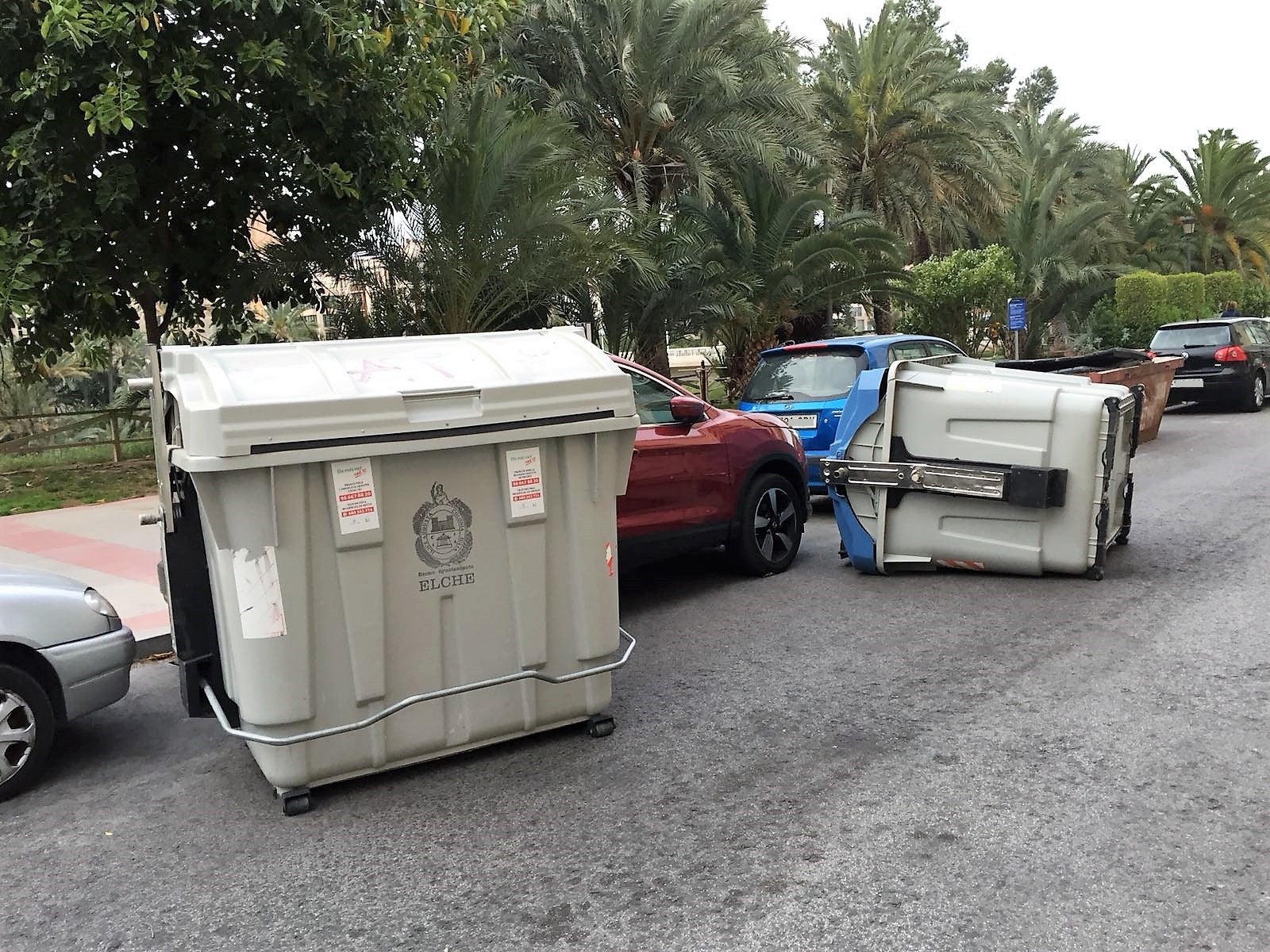 El viento provoca más de un treintena de intervenciones en Elche en apenas tres horas El viento provoca más de un treintena de intervenciones en Elche en apenas tres horas