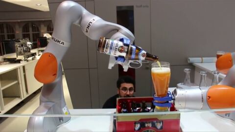 Robots que cortan el c&eacute;sped, limpian los cristales y la barbacoa