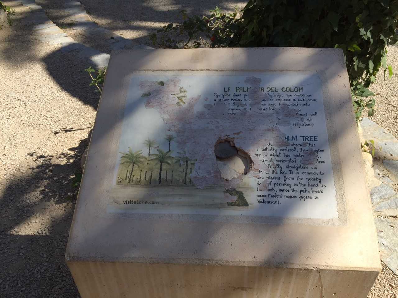 Cs Elche apremia la ejecución de la adecuación de la Ruta del Palmeral Cs Elche apremia la ejecución de la adecuación de la Ruta del Palmeral