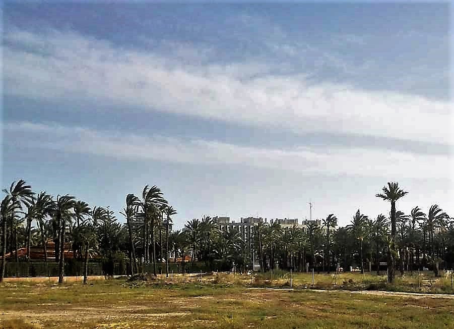 <p>La semana comienza en Elche, Crevillent y Santa Pola con estabilidad meteorológica </p> <p>La semana comienza en Elche, Crevillent y Santa Pola con estabilidad meteorológica </p>