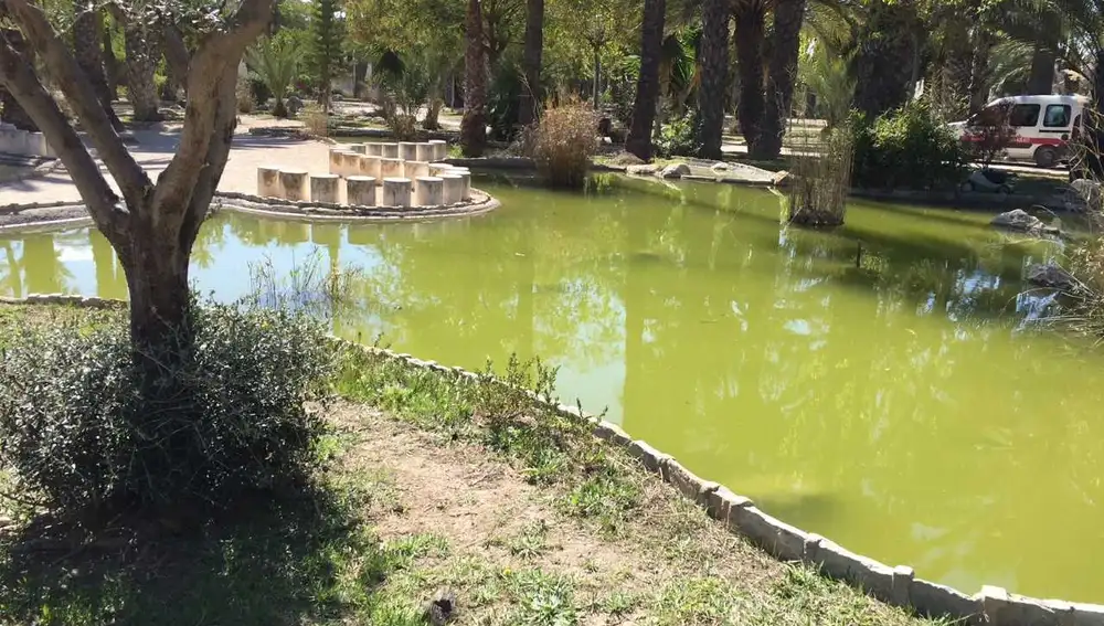 Estanque del Parque Infantil de Tráfico Estanque del Parque Infantil de Tráfico
