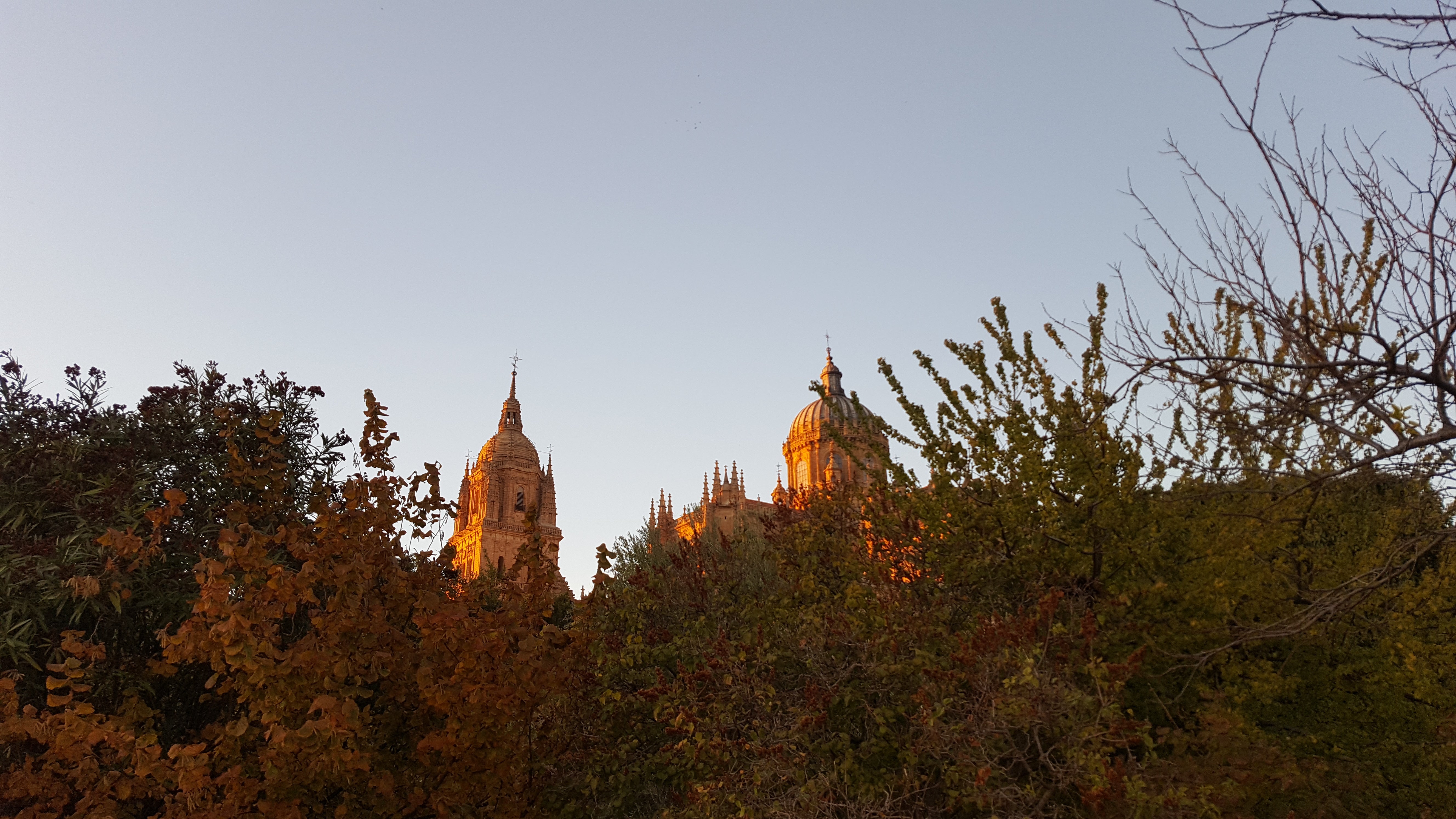 Salamanca en la Onda con Pilar Diaz Salamanca en la Onda con Pilar Diaz