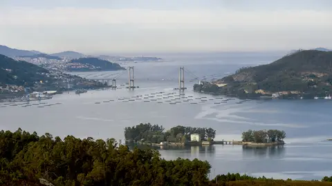 Rande en la Ría de Vigo Rías Baixas Fest