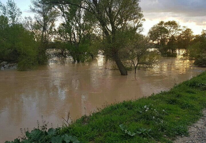 Los afectados por las riadas piden la limpieza del Ebro Los afectados por las riadas piden la limpieza del Ebro