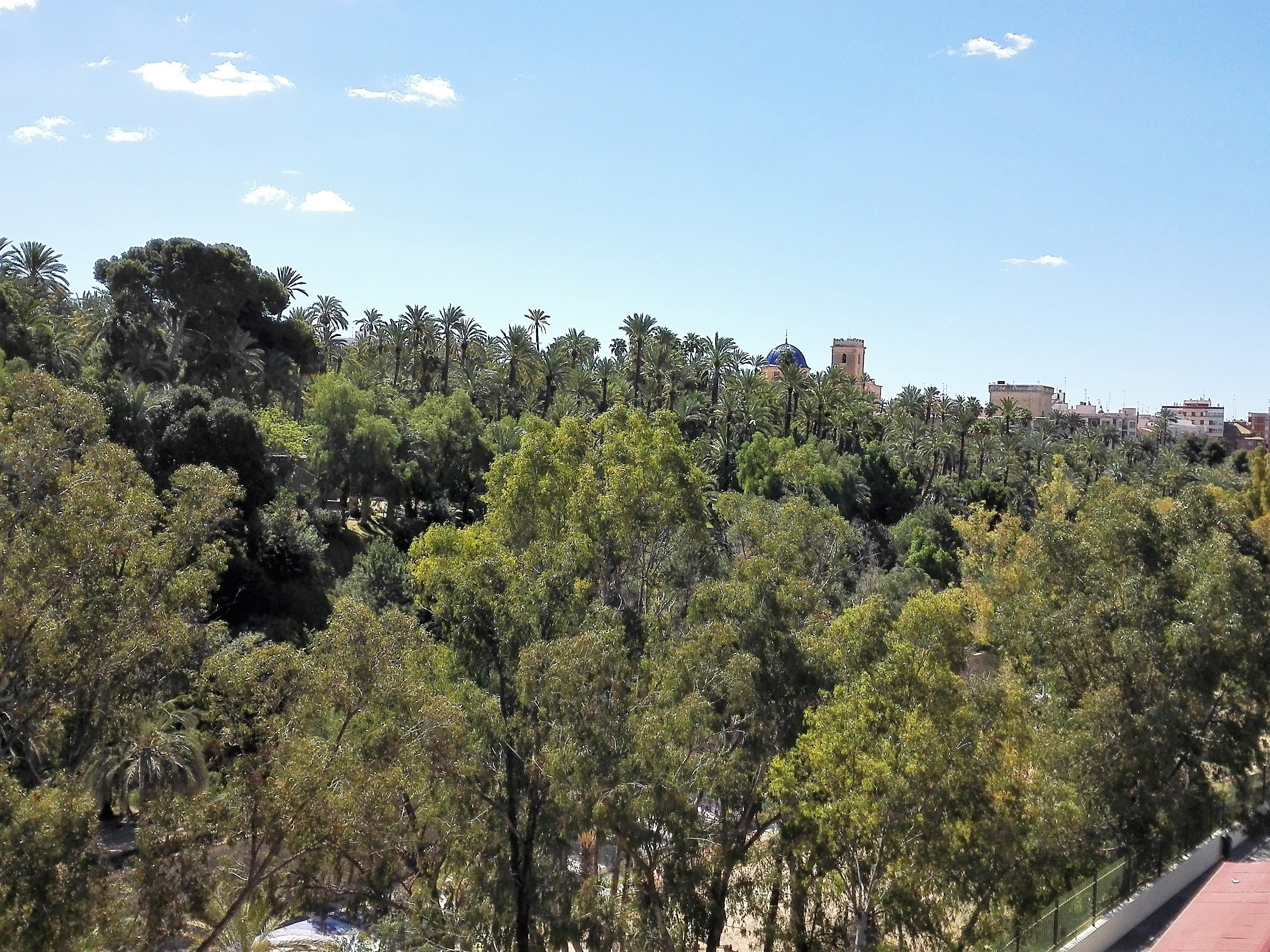 El sol predomina en Elche, Crevillent y Santa Pola por la mañana y las nubes por la tarde El sol predomina en Elche, Crevillent y Santa Pola por la mañana y las nubes por la tarde