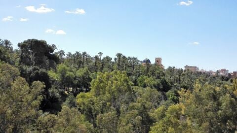 Elche