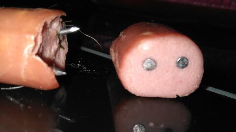 Salchicha con clavos