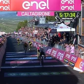 Tim Wellens levanta los brazos en línea de meta Tim Wellens levanta los brazos en línea de meta