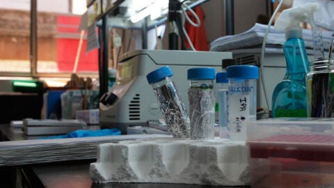 Imagen de unos an&aacute;lisis en un laboratorio