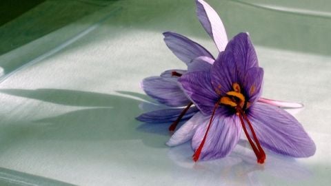 Dos fotograf&iacute;as de cucharas con azafr&aacute;n