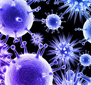Casi 100 personas mueren al día en hospitales españoles por bacterias multirresistentes Casi 100 personas mueren al día en hospitales españoles por bacterias multirresistentes