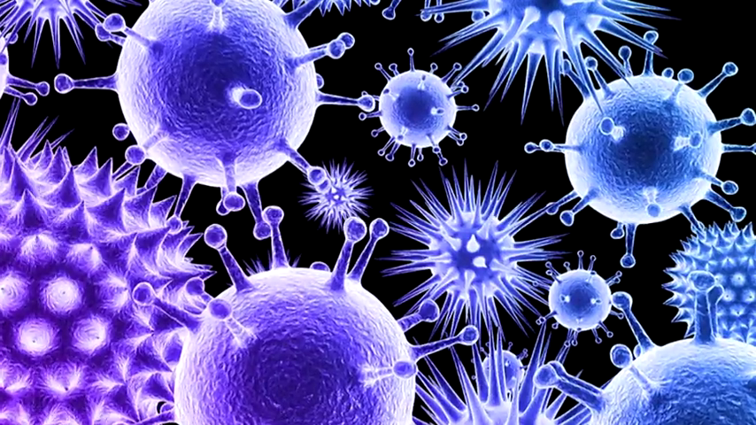 Diseñan un nuevo tipo de antibióticos capaces de matar solo a las bacterias malas Diseñan un nuevo tipo de antibióticos capaces de matar solo a las bacterias malas