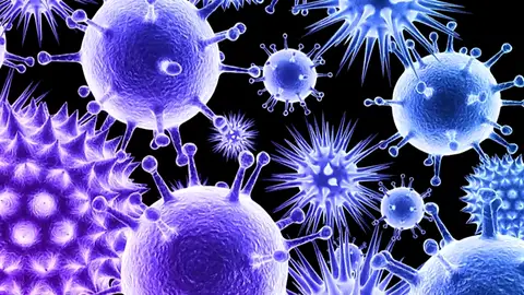 Casi 100 personas mueren al día en hospitales españoles por bacterias multirresistentes Casi 100 personas mueren al día en hospitales españoles por bacterias multirresistentes