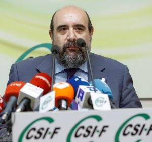 El presidente de la Central Sindical Independiente y de Funcionarios (CSIF), Miguel Borra El presidente de la Central Sindical Independiente y de Funcionarios (CSIF), Miguel Borra