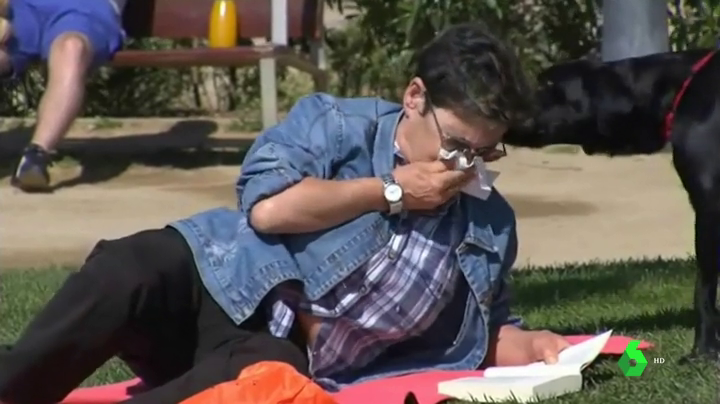 Los alergólogos alertan de niveles de polen de gramíneas muy elevados durante esta primavera en Extremadura Los alergólogos alertan de niveles de polen de gramíneas muy elevados durante esta primavera en Extremadura