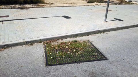 Hierba sin cortar en una rejilla en una calle de Elche