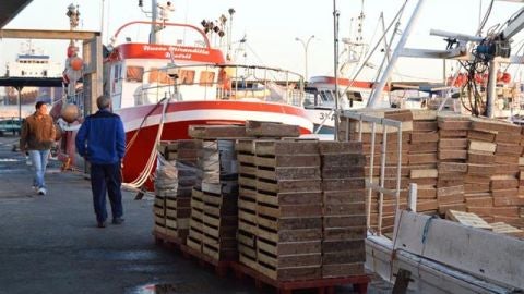 PLAN DE GESTI&Oacute;N DEL MEDITERR&Aacute;NEO 