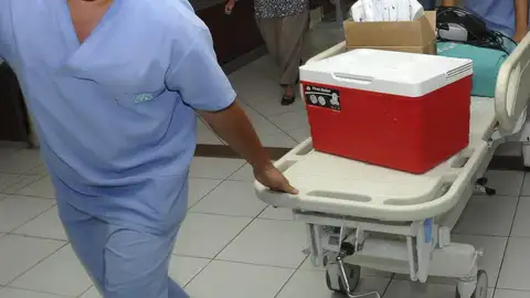 Personal sanitario transporta una nevera portadora de un órgano para un trasplante Personal sanitario transporta una nevera portadora de un órgano para un trasplante
