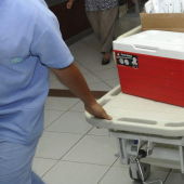 Personal sanitario transporta una nevera portadora de un órgano para un trasplante