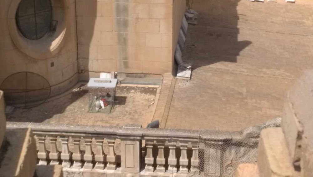 Una jaula con palomas en su interior en la terraza de la Basílica de Santa María de Elche