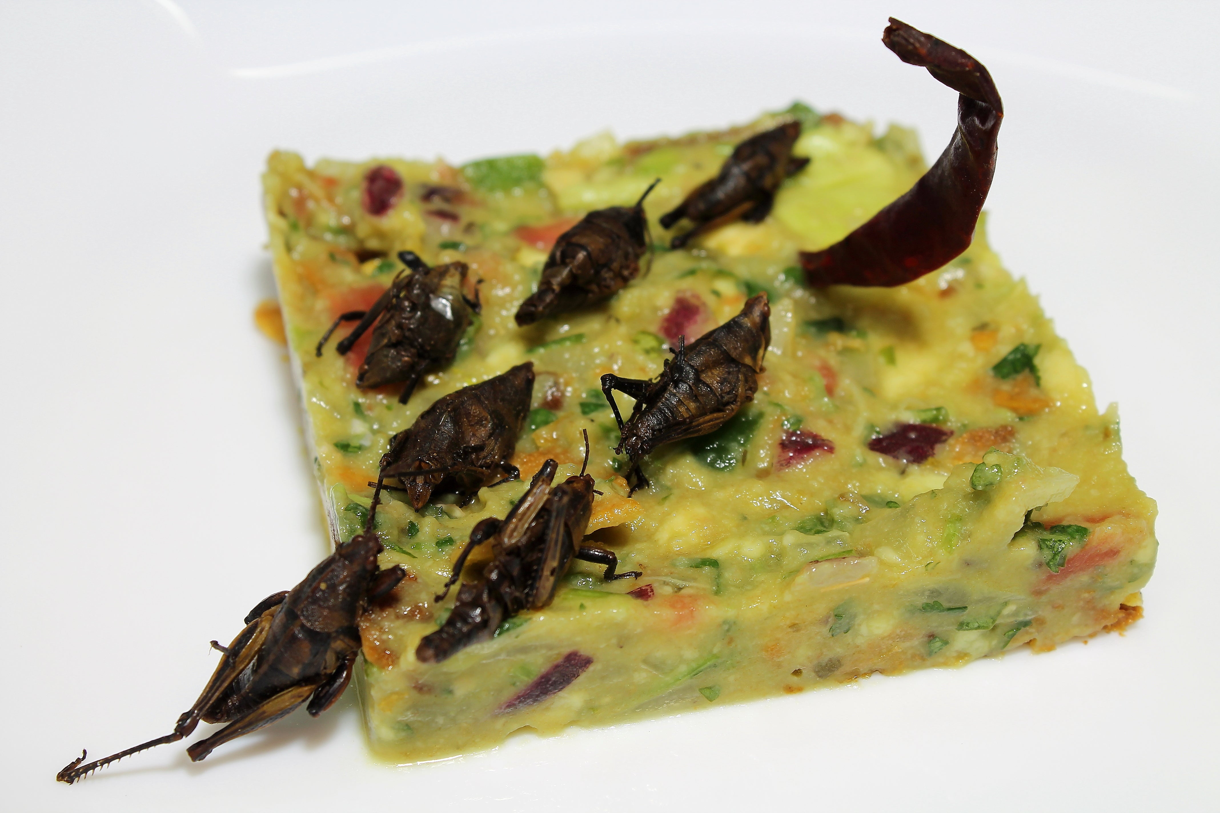 Migas crujientes de hormigas y de beber, un Rueda Migas crujientes de hormigas y de beber, un Rueda