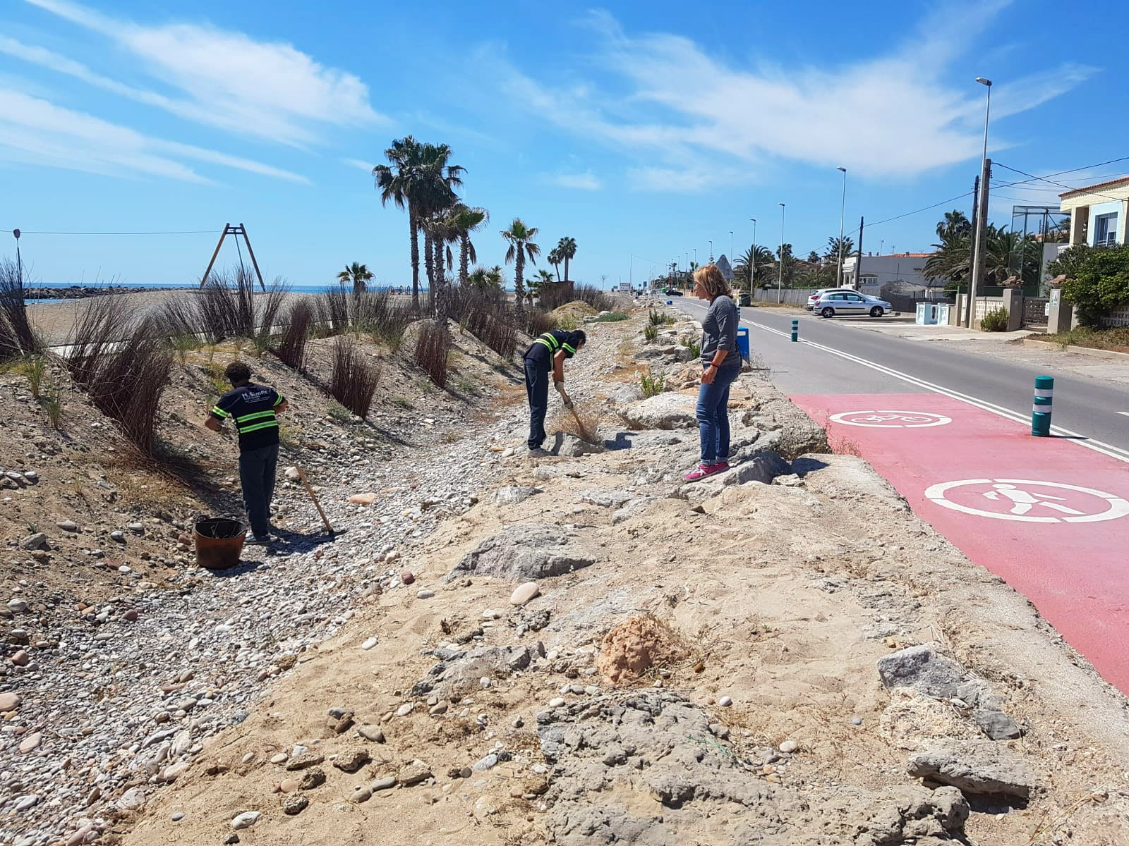 Almassora inicia el acondicionamiento de sus playas de cara al verano Almassora inicia el acondicionamiento de sus playas de cara al verano