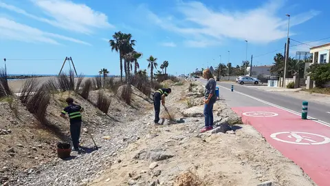 Los operarios adecuan ya las playas de cara el verano. PLAYAS ALMASSORA