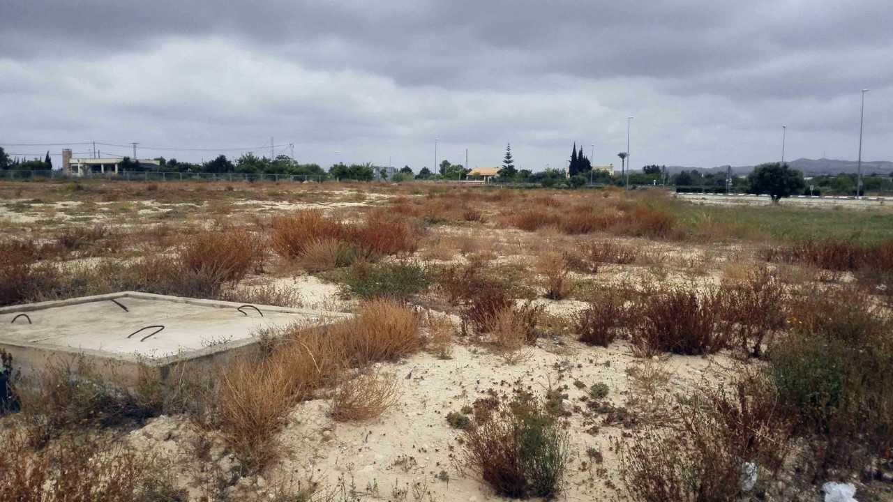 El mantenimiento de los solares en Elche estará regulado por una ordenanza municipal El mantenimiento de los solares en Elche estará regulado por una ordenanza municipal