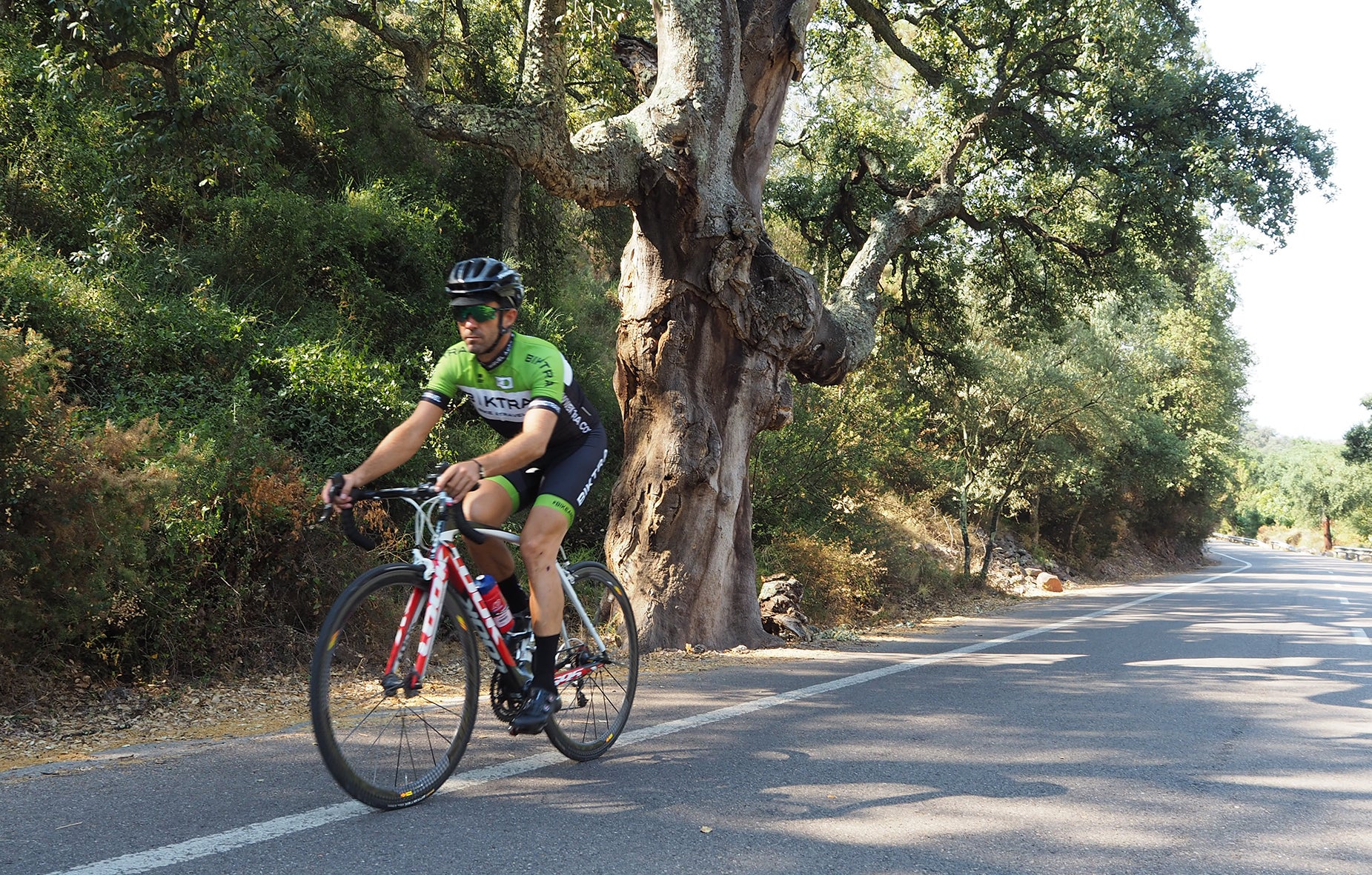 Piensa en bici: rutas cicloturistas Eurovelo