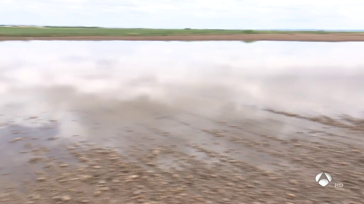 Casi 16.500 agricultores extremeños han recibido ya 17,5 millones de ayudas por la subida de precios de los fertilizantes Casi 16.500 agricultores extremeños han recibido ya 17,5 millones de ayudas por la subida de precios de los fertilizantes