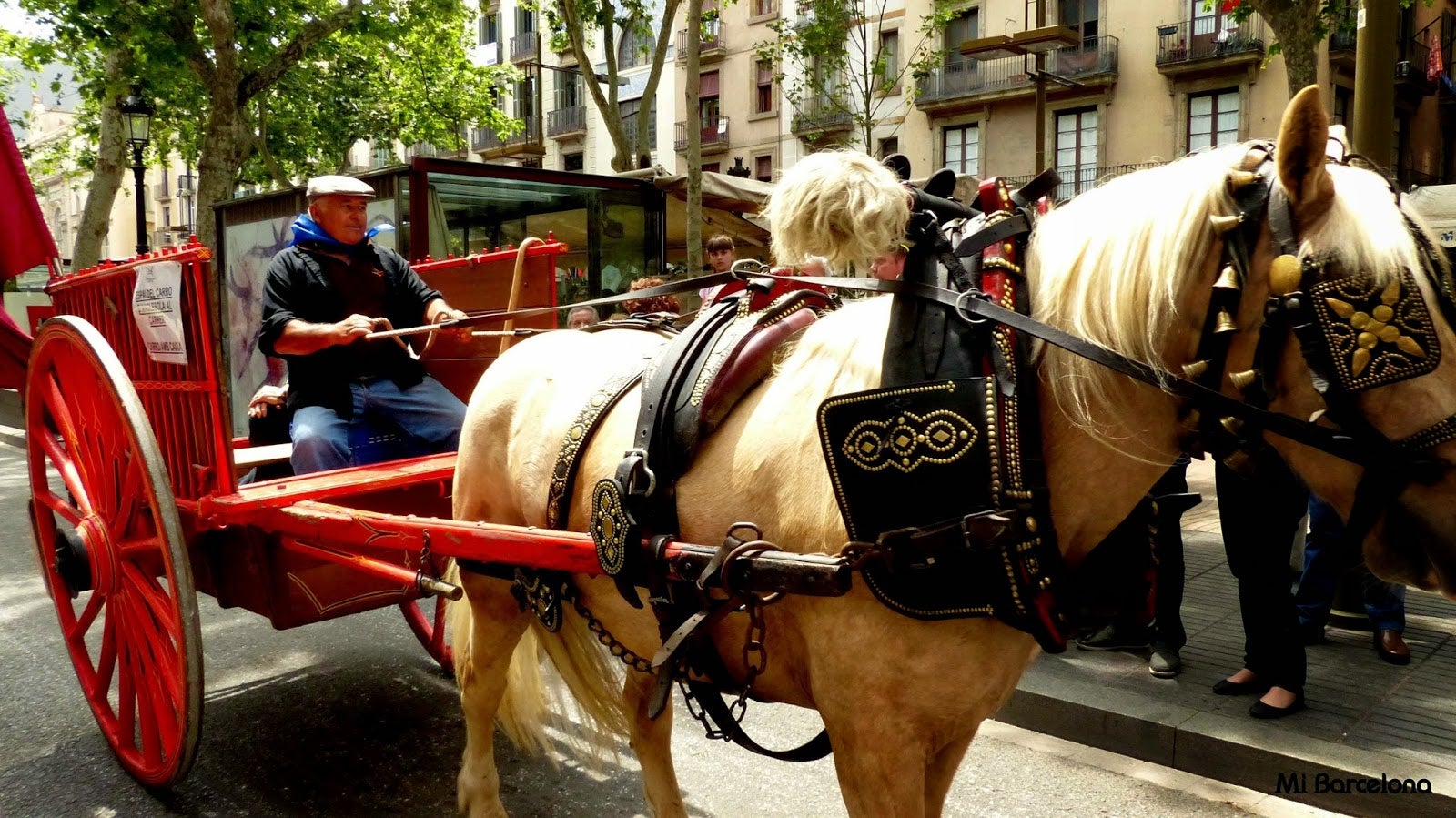 Los paseos en carroza de caballos por Barcelona se acaban este viernes Los paseos en carroza de caballos por Barcelona se acaban este viernes