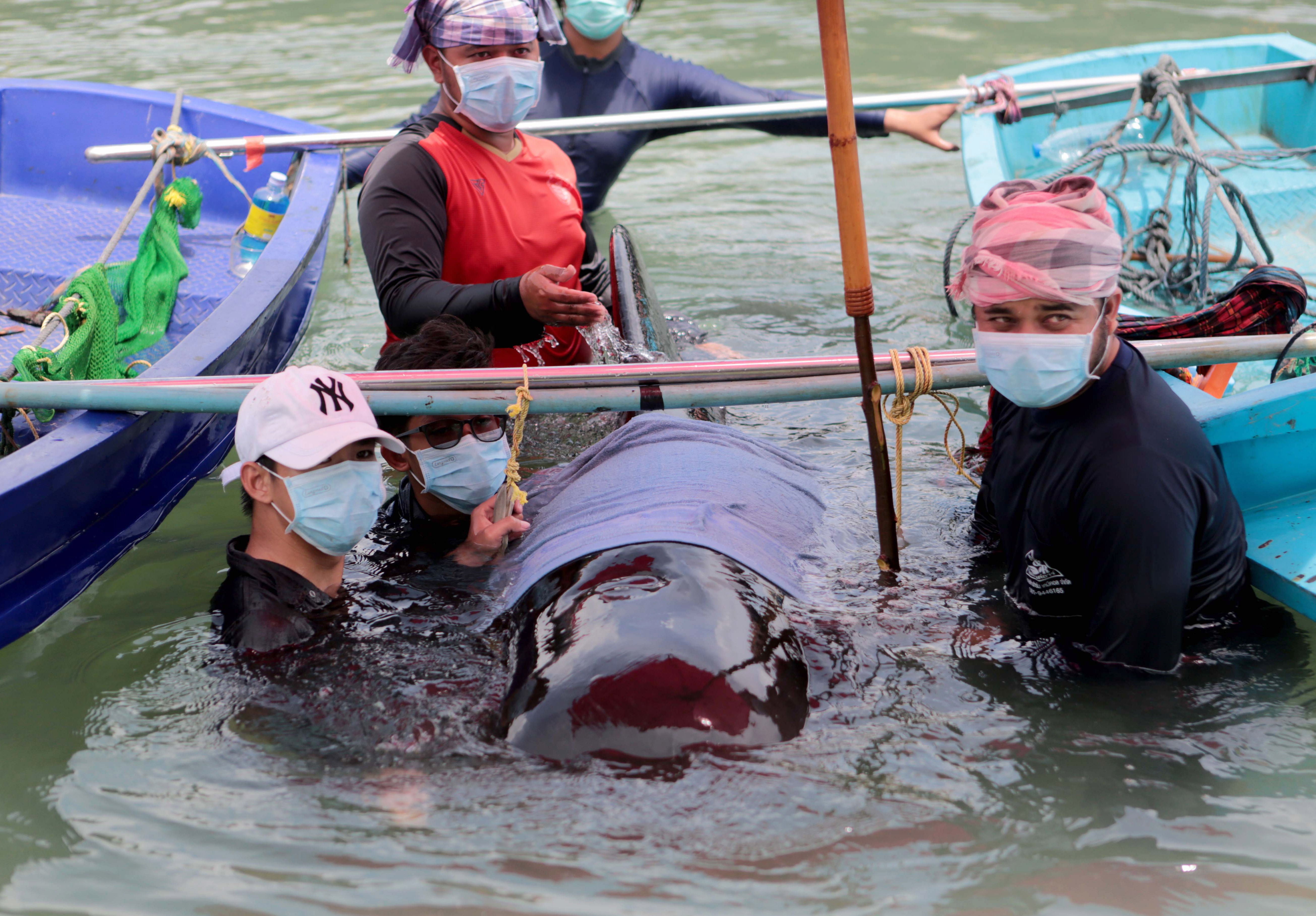 <p>Muere una ballena en Tailandia tras tragarse ochenta bolsas de plástico</p> <p>Muere una ballena en Tailandia tras tragarse ochenta bolsas de plástico</p>