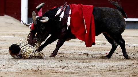 "El Cid", intervenido de una cornada grave en el muslo derecho