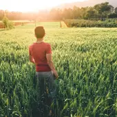 Extremadura incorpora cinco nuevos Ciclos de FP y cuatro actualizaciones Extremadura incorpora cinco nuevos Ciclos de FP y cuatro actualizaciones