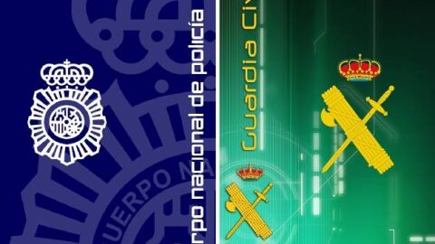 Polic&iacute;a Nacional y Guardia Civil de Ciudad Real han desmantelado una organizaci&oacute;n criminal