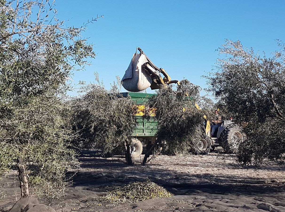7 años de cárcel por violar a una compañera de trabajo 7 años de cárcel por violar a una compañera de trabajo