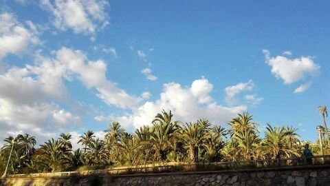 Elche